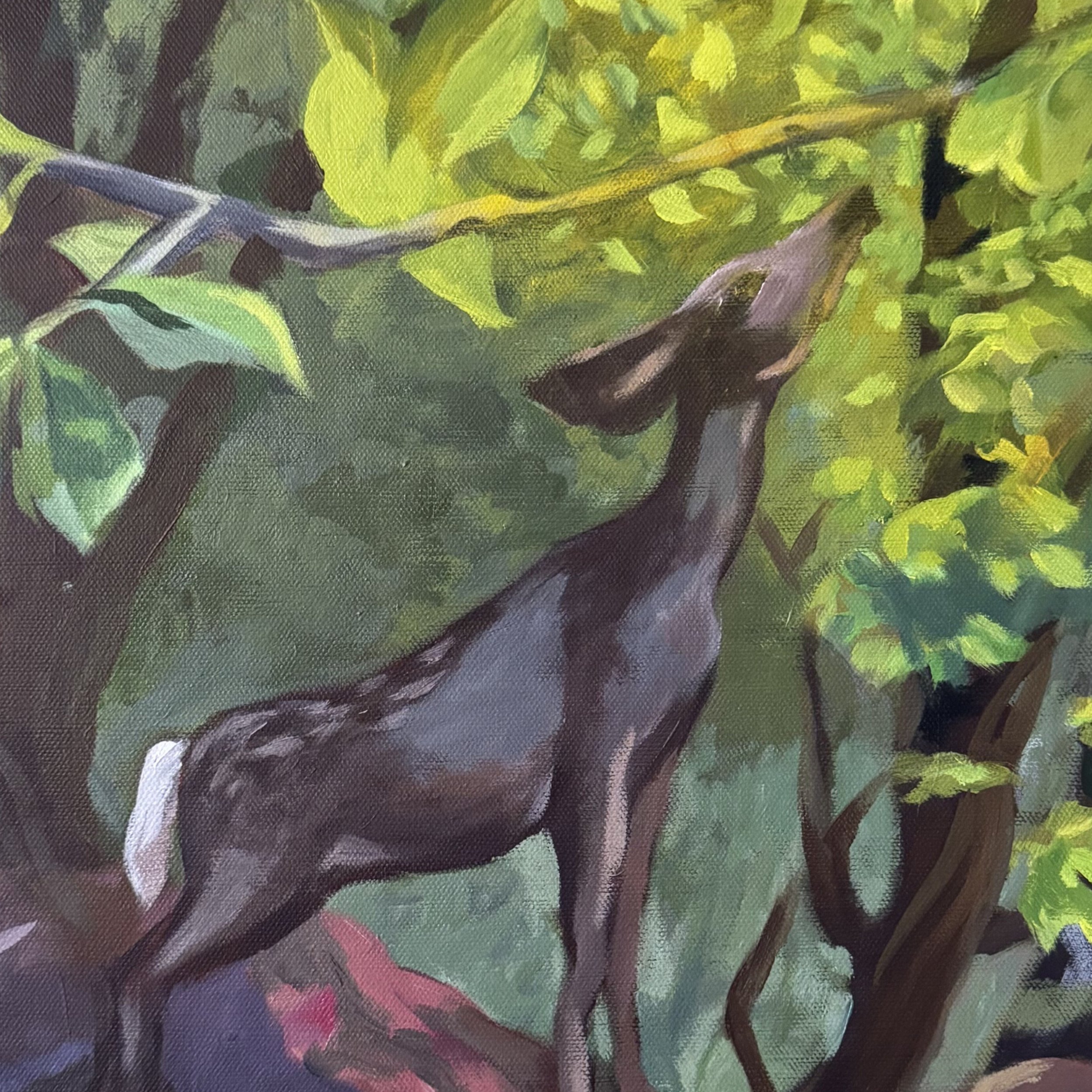 Summer_Detail_v02.jpg