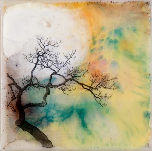 Behind the Tree, 2010