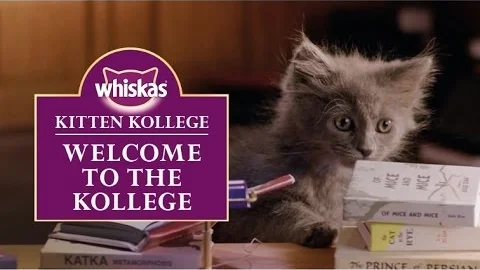 Ep.1 Kitten Kollege: Welcome to the Kollege