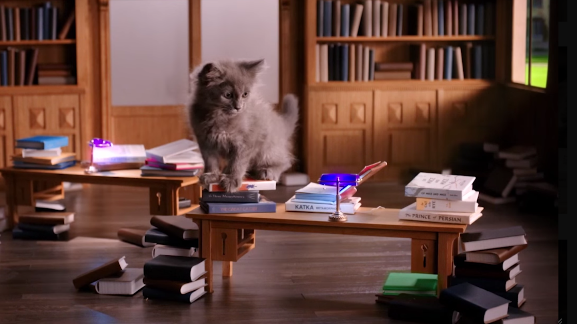 Whiskas: Welcome to Kitten Kollege