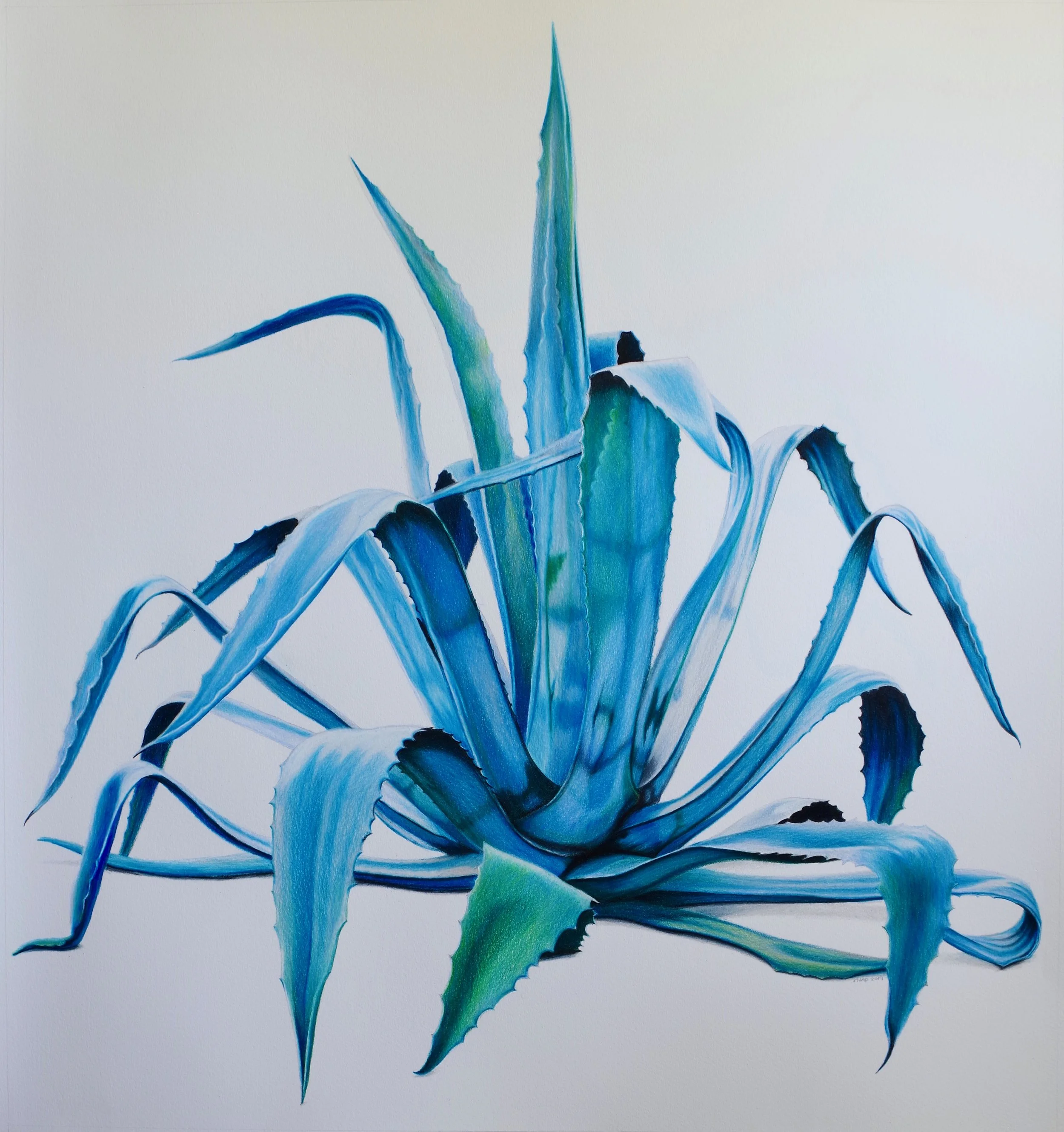 Untitled, 2019, Pencil on Paper, 62x57cm.