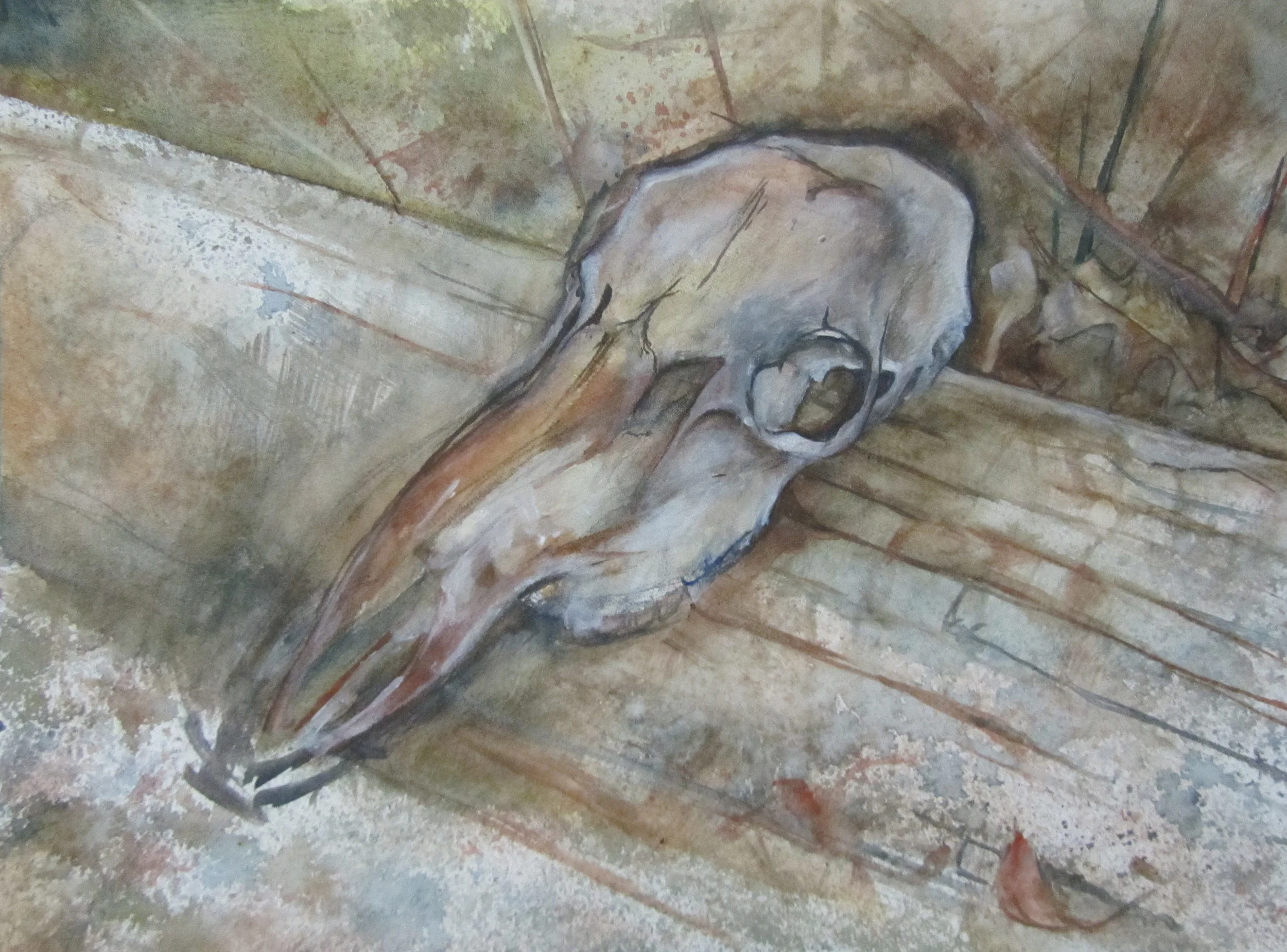 skull.jpg