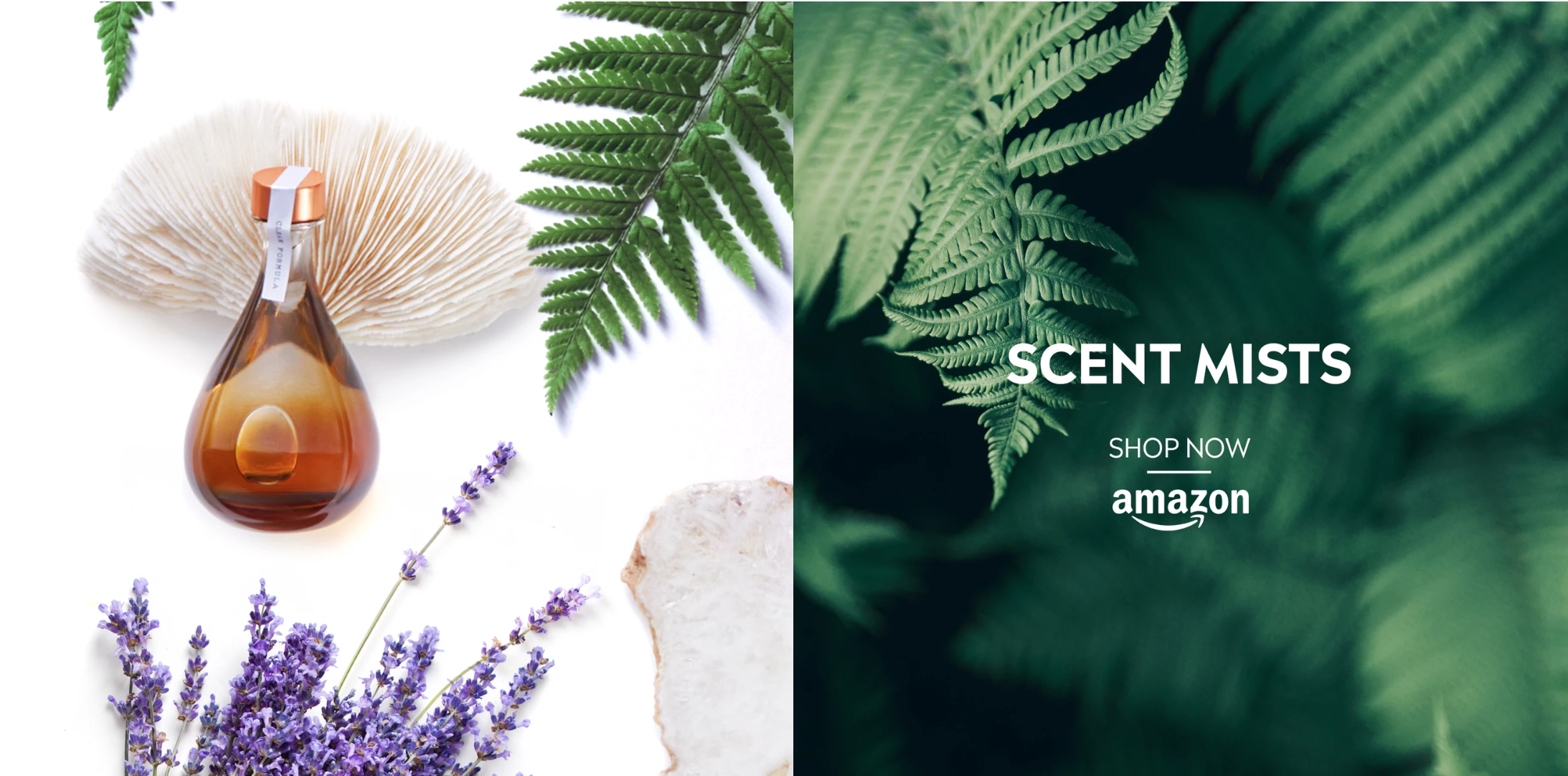 Screen Shot 2019-11-07 at 3.09.04 AM.png