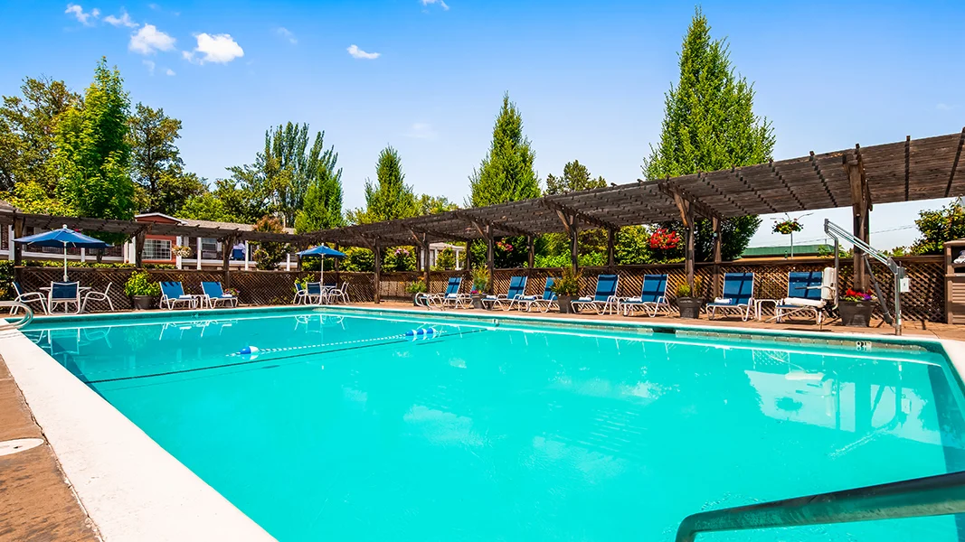 hotel pool with lounges