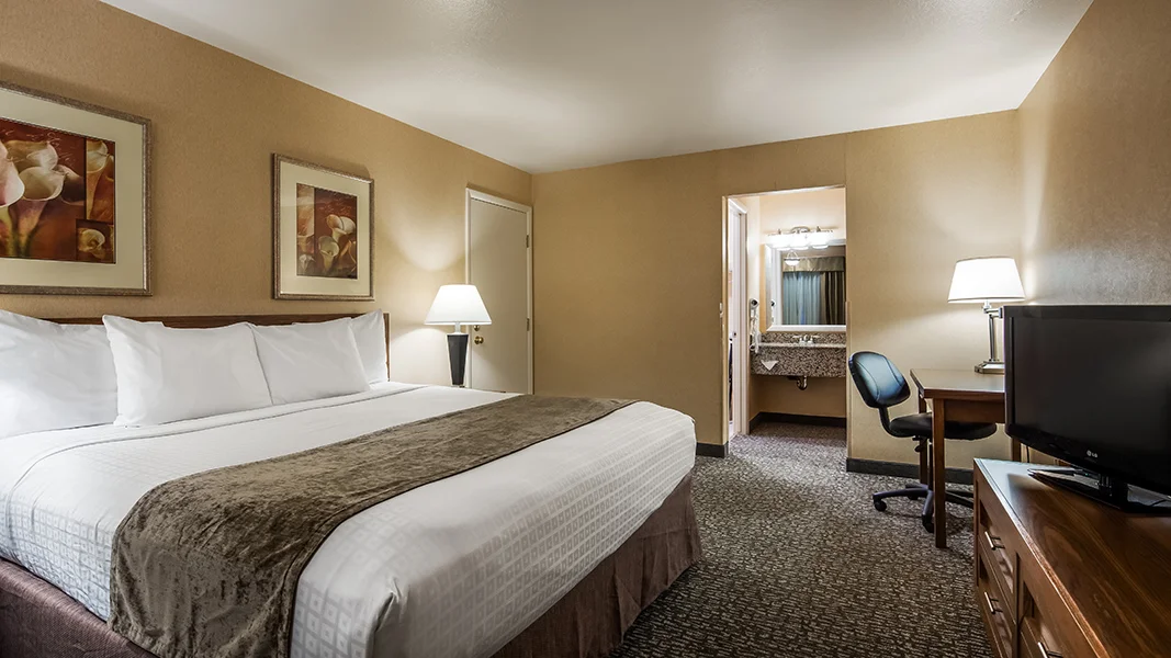 hotel room with bed, brown color theme