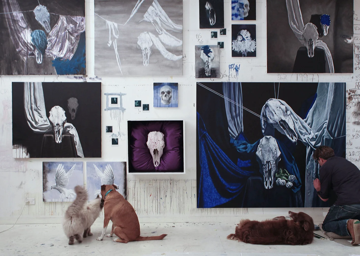 studio image: black&blue