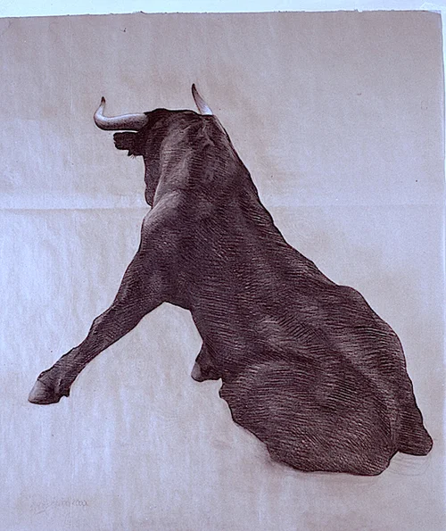 sitting bull 2015 charcoal & chalk on paper 110 x 70cm