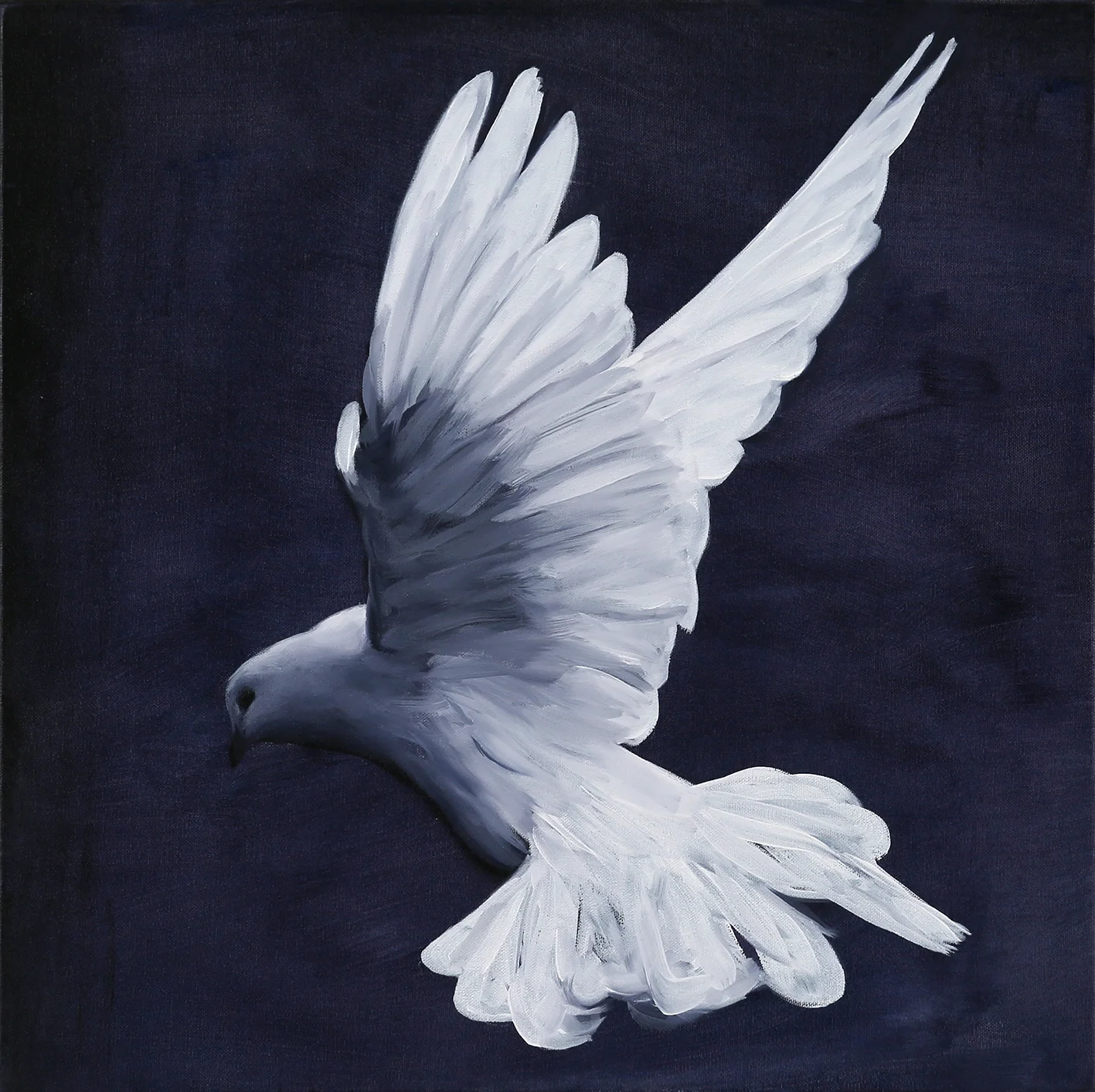 Dove II