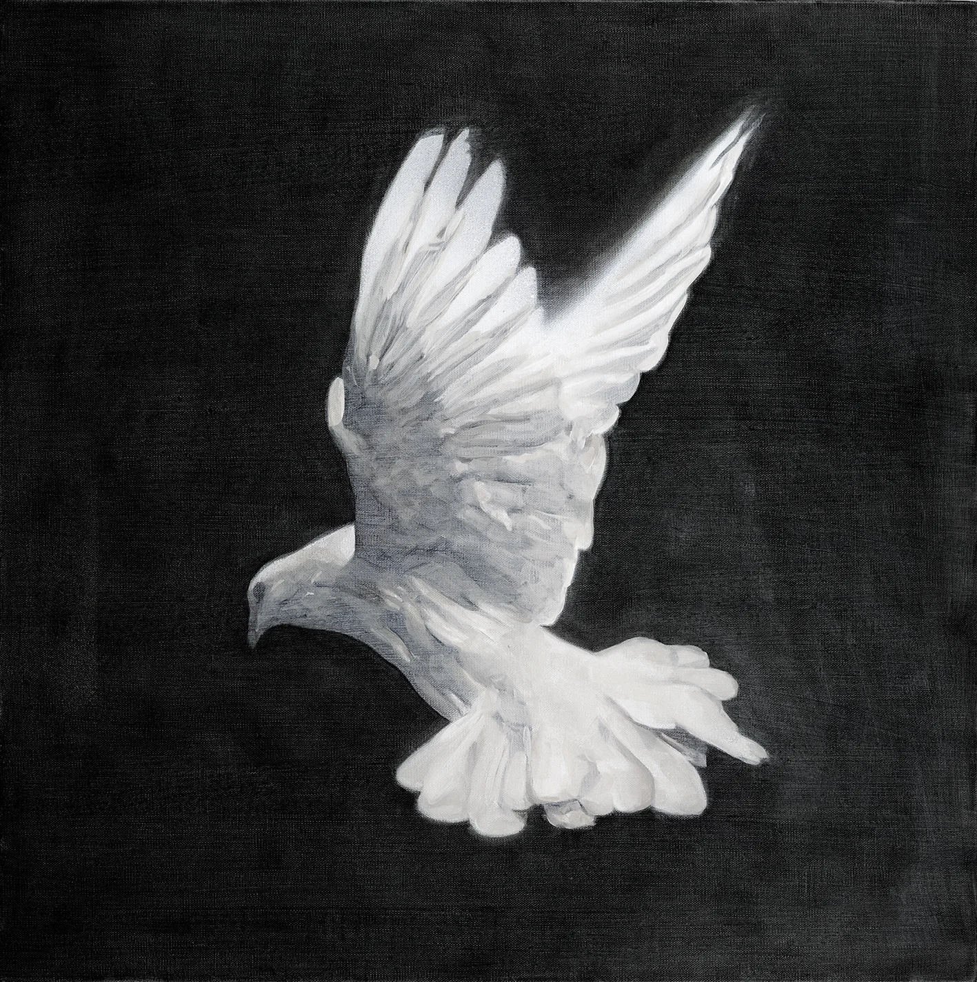 Dove VII