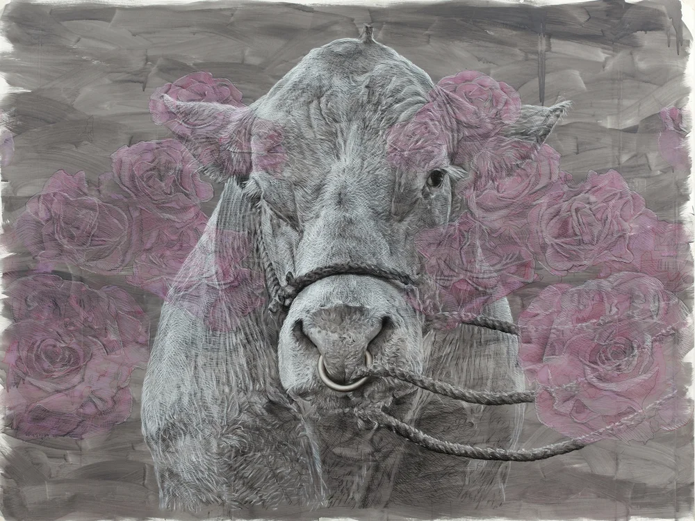 Bovine-dreaming-Roses.jpeg