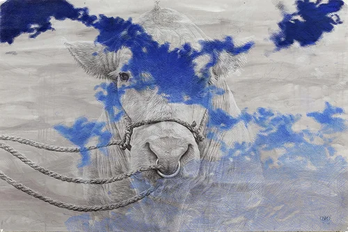 head in the clouds