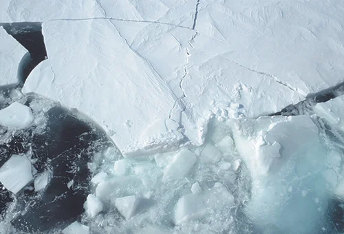 Icescape 6