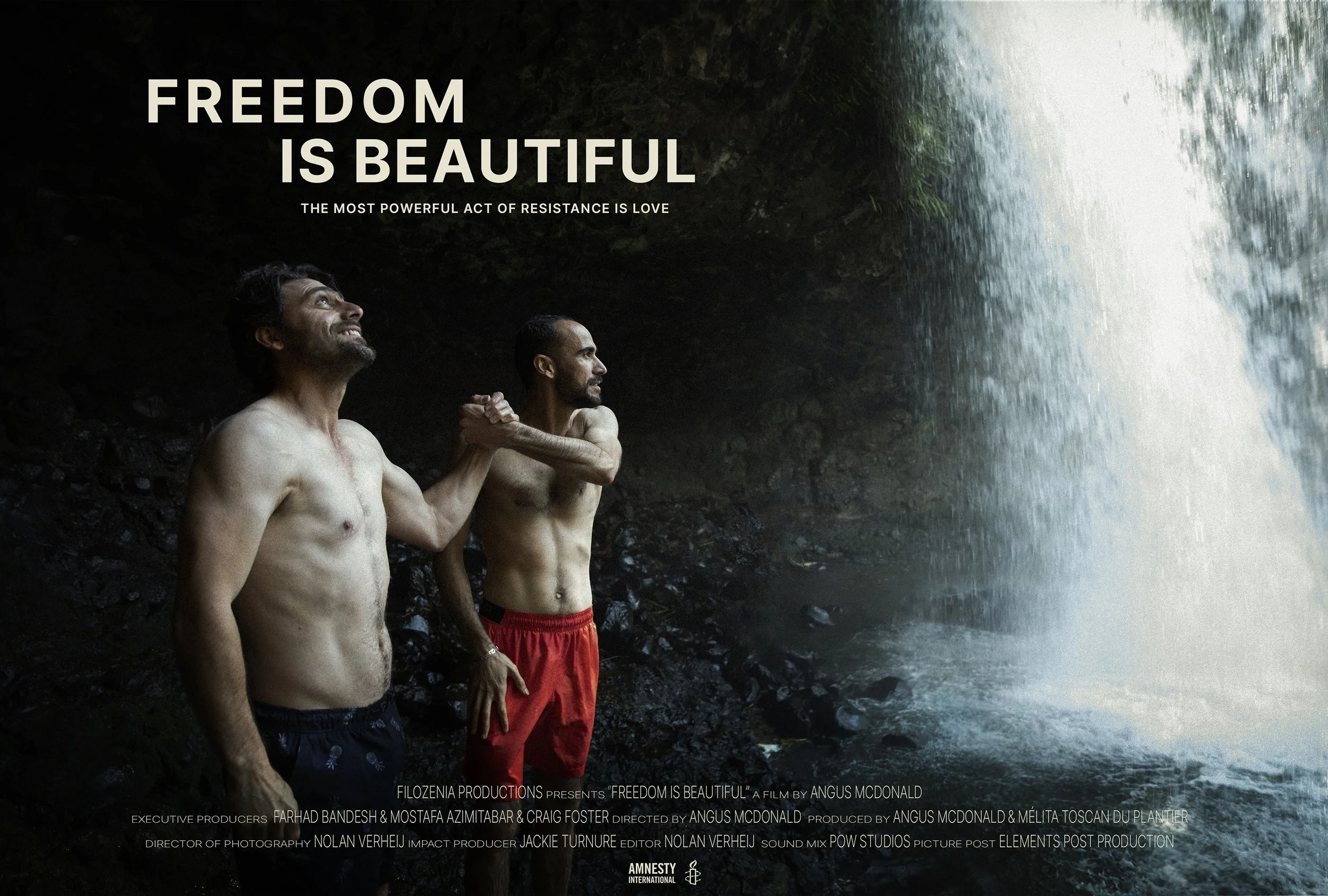 FIB Poster_V01LR.jpg