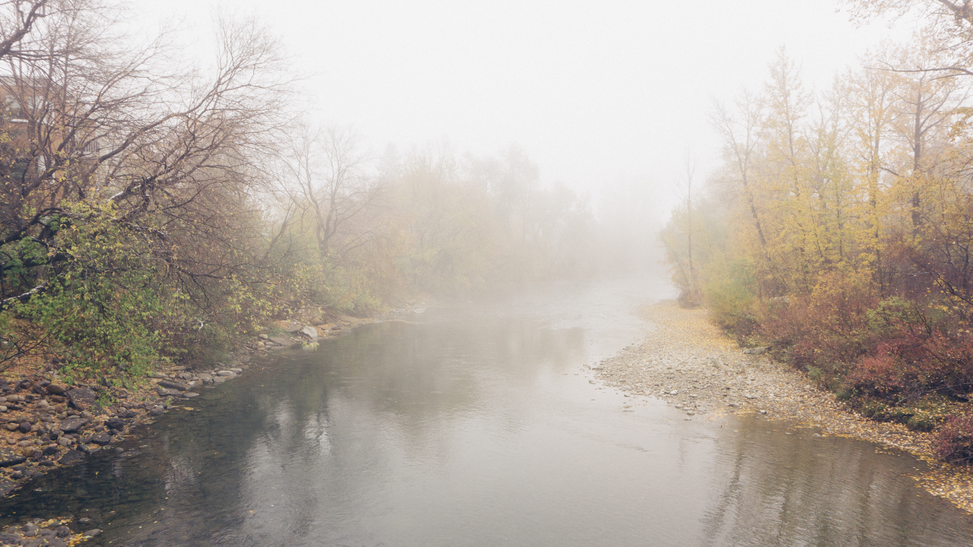 Elbow River, one block from my apartment.