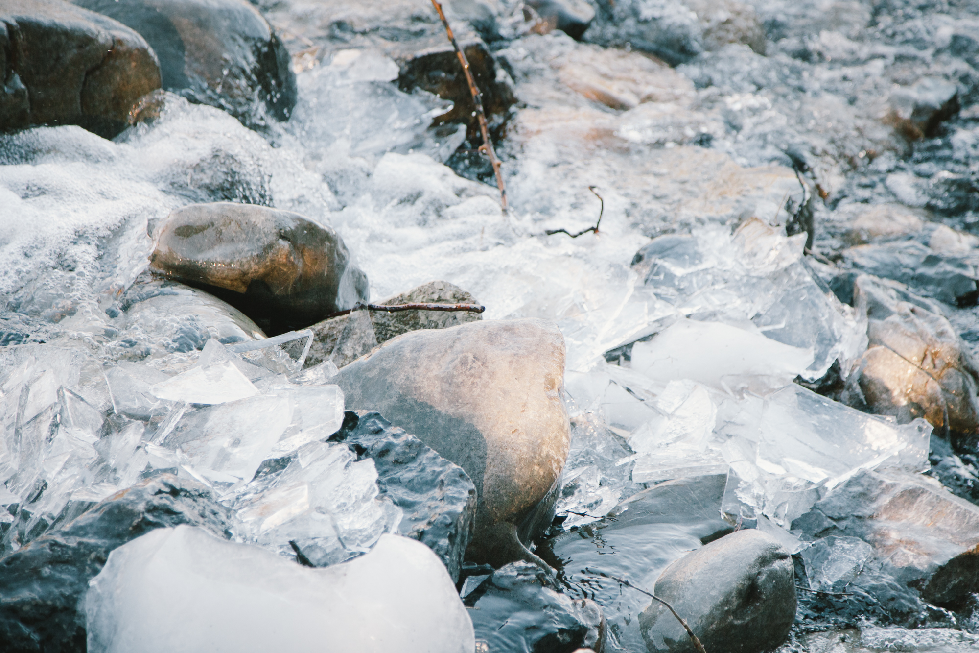 Ice collecting directly beside the wave.