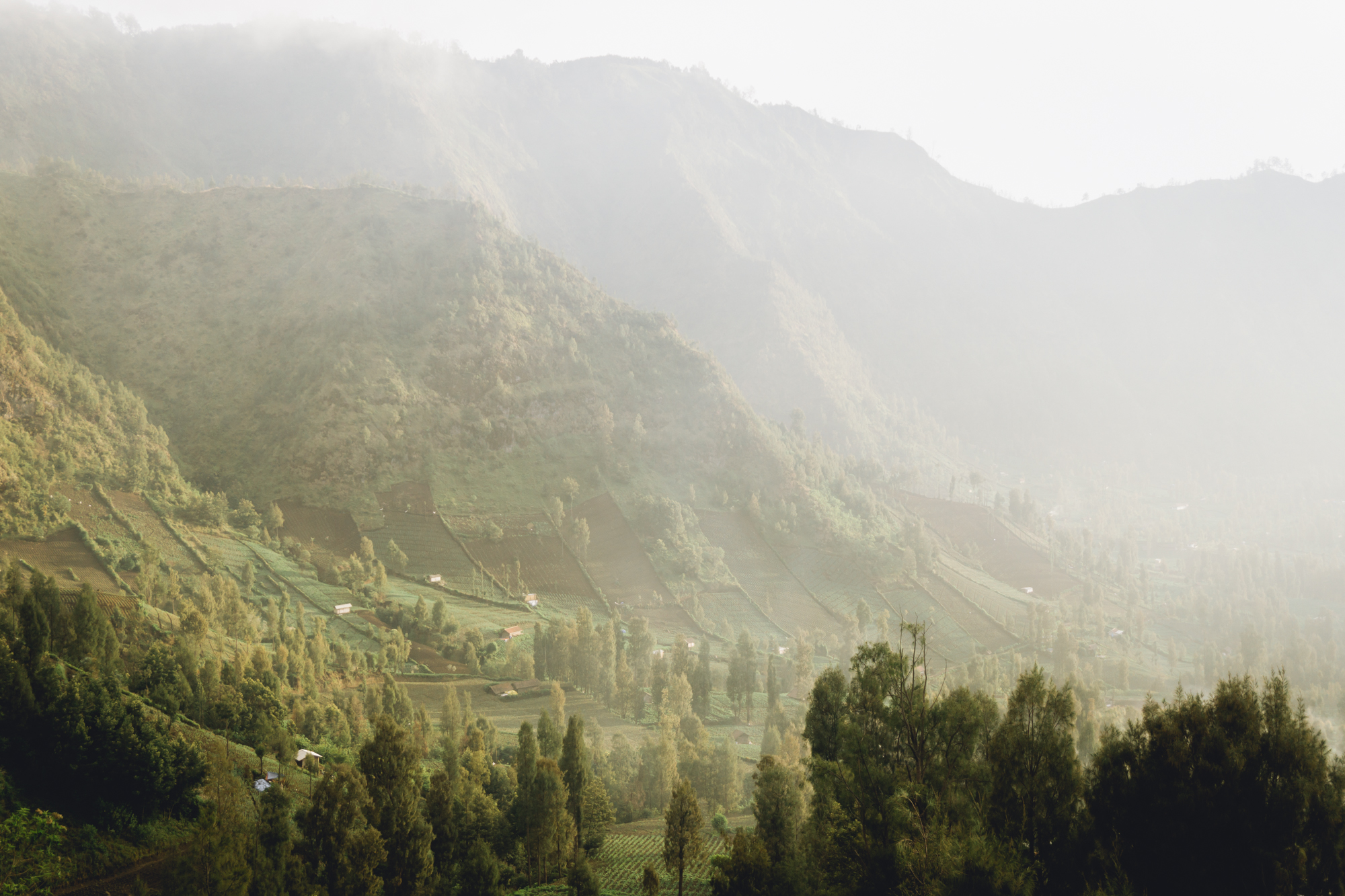 Indo_WEB_Preview-78.jpg