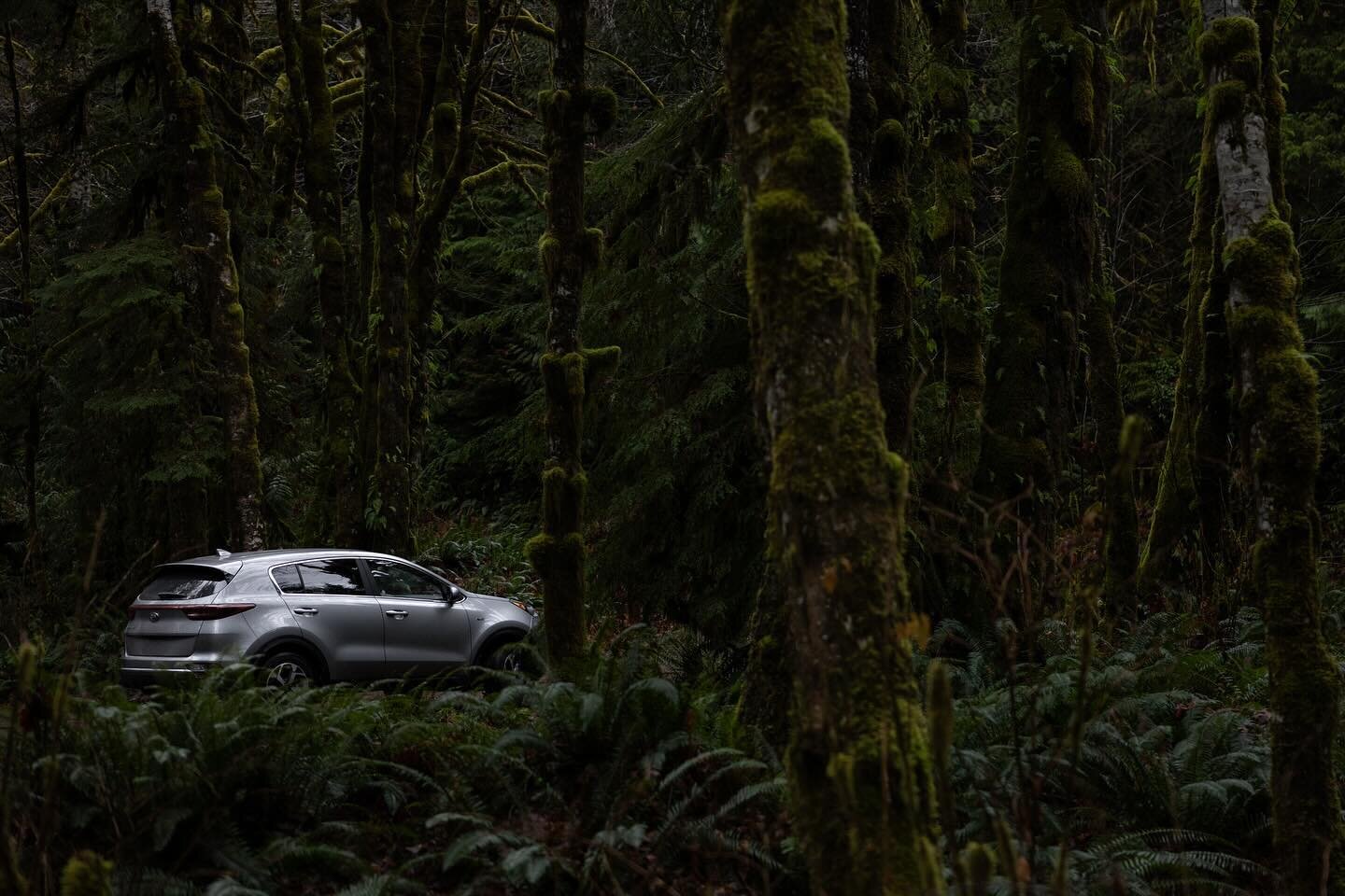 When you&rsquo;re deep in the woods and don&rsquo;t have a subject to shoot, you shoot your rental car. Or logging road traffic.