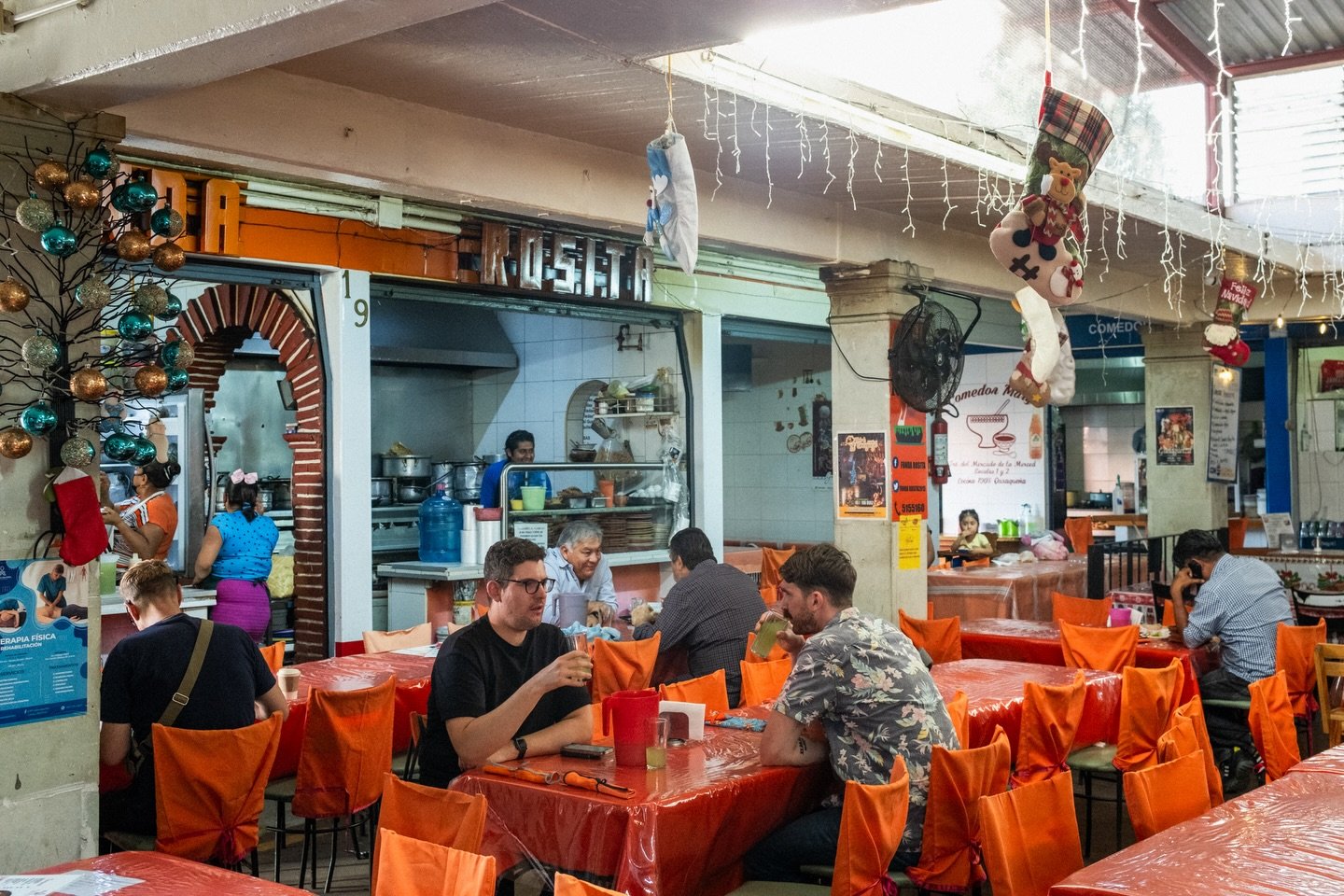 2025 Life in Photos:

Photo 1: Went to Mexico with friends and explored the world of Mezcal.

2 - 3: Adopted Valley and watched her double in size.

4: Started teaching myself linocut.

5: Replaced the vans engine in the back alley.

6 - 7: Went to H