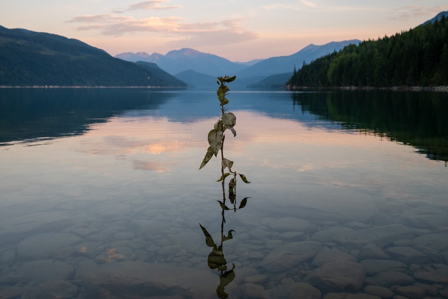 Being a big fan of our planet, it&rsquo;s hard to pass up the opportunity to reflect on my appreciation for the landscapes I&rsquo;m lucky enough to experience every time I head outdoors.

This year, I decided to take a more active role in giving bac