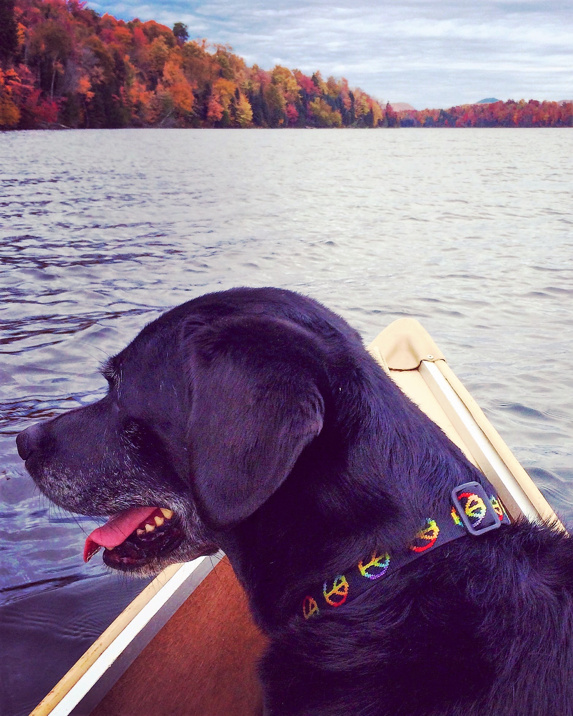 LD in canoe.jpg