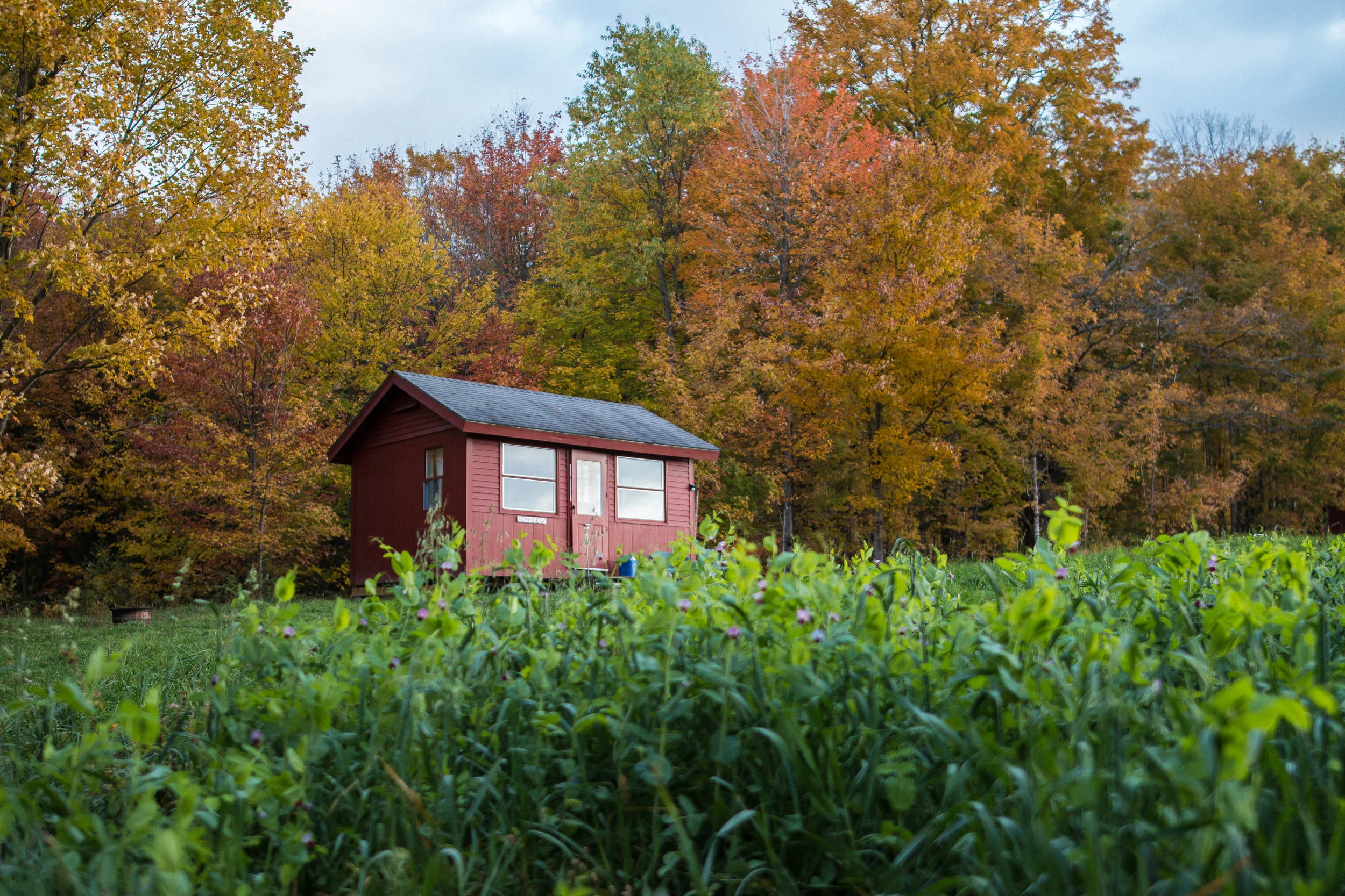 vermont-206.jpg
