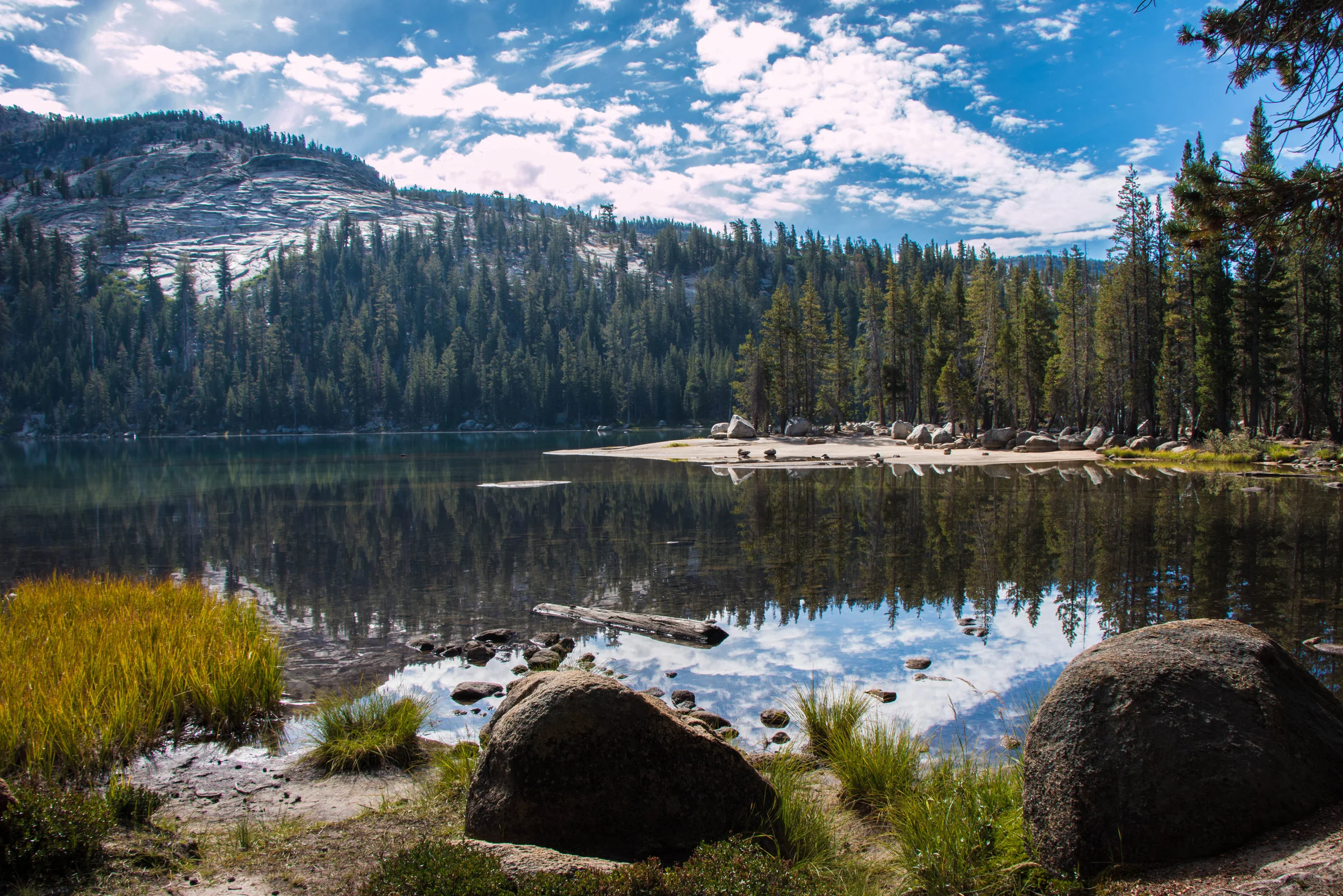 Yosemite2015-36.jpg