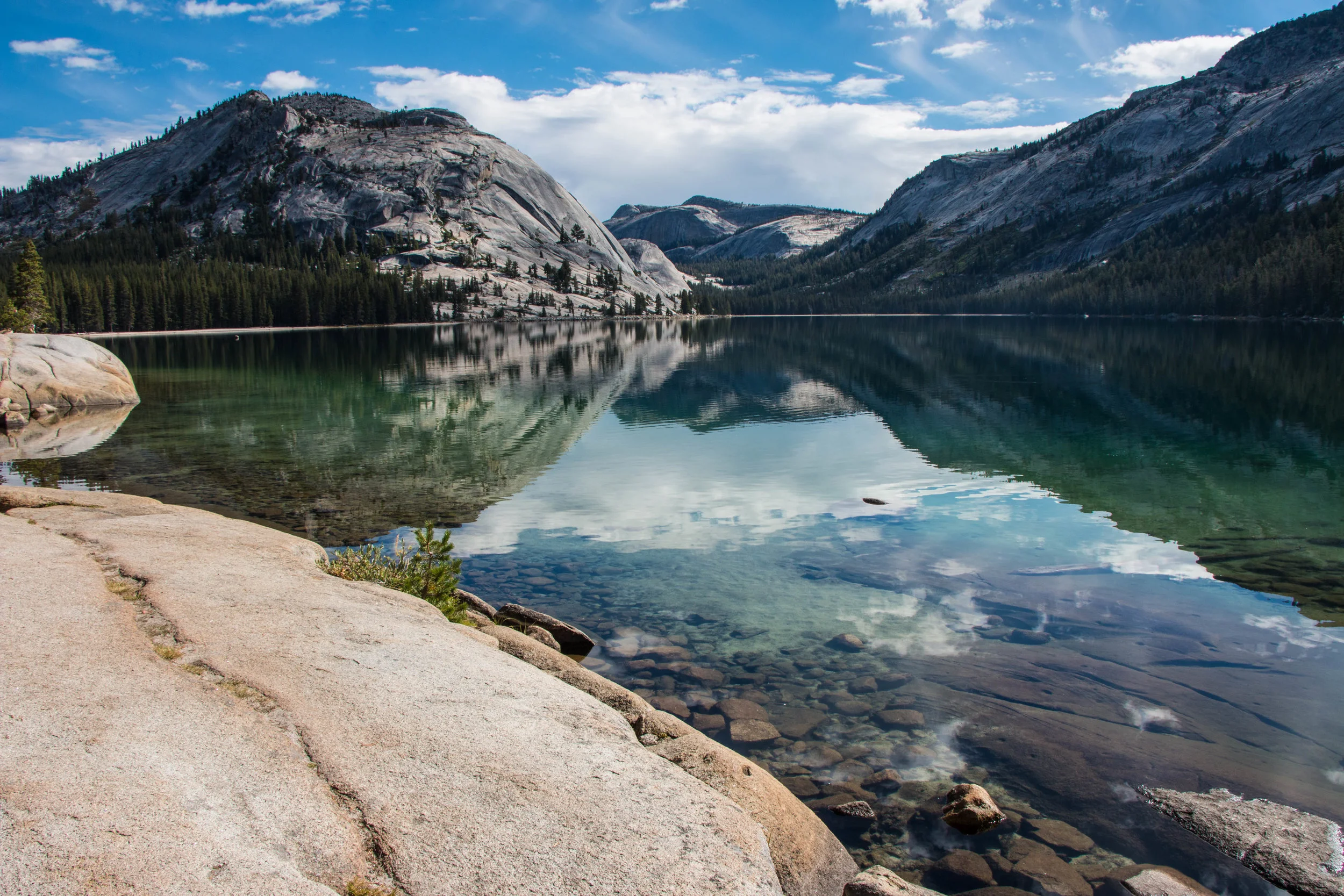 Yosemite2015-40.jpg