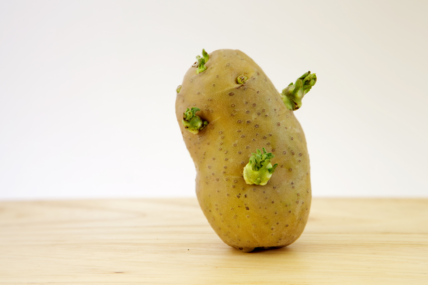 Potato sprouting