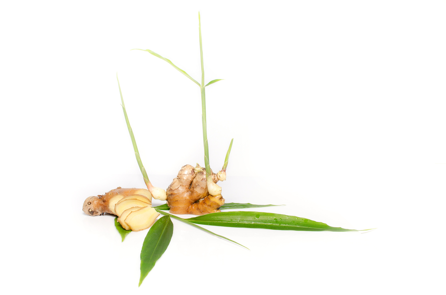 Ginger plant and root