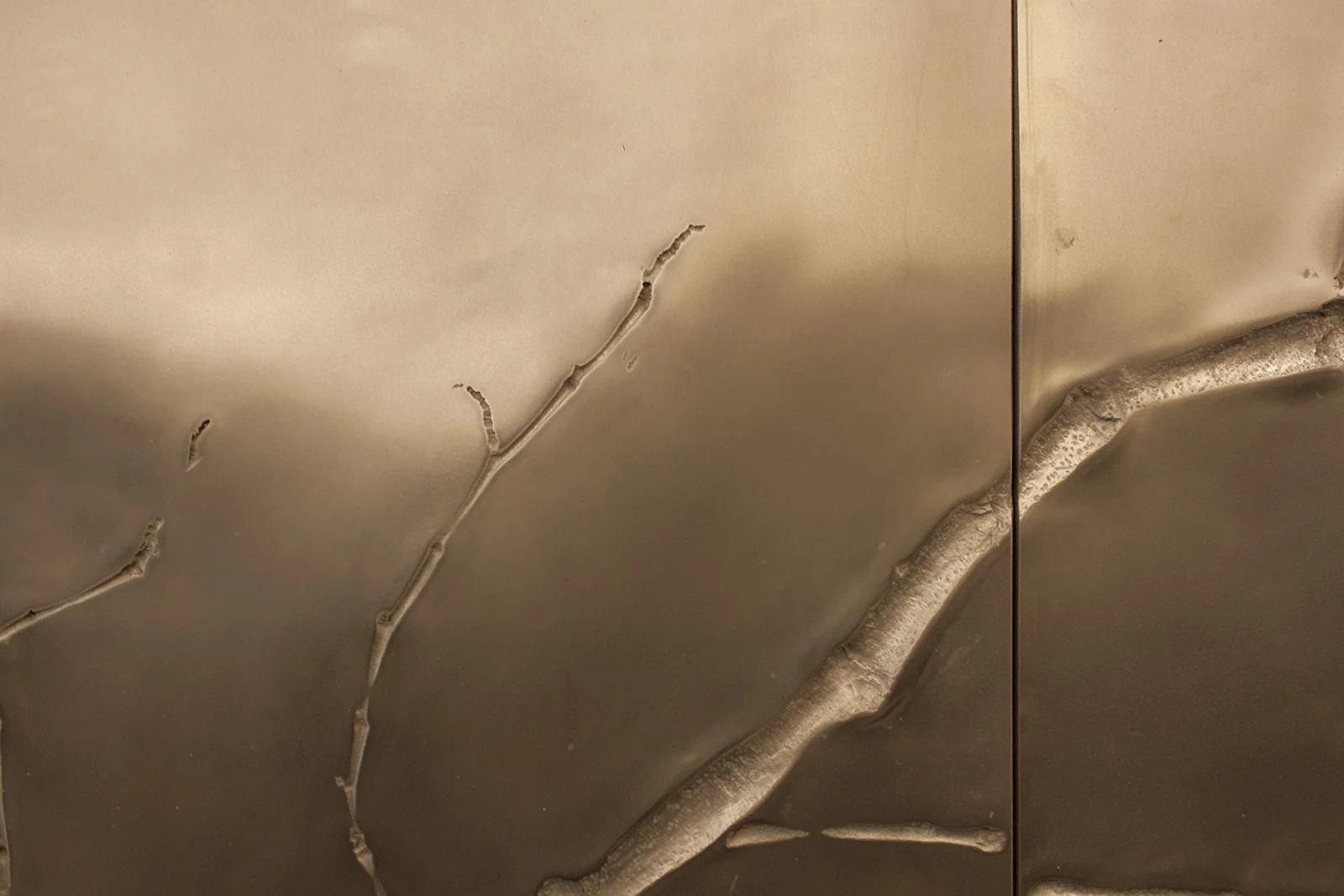 ether_atelier_ghosted_branches_bronze_IMG_1882.jpg