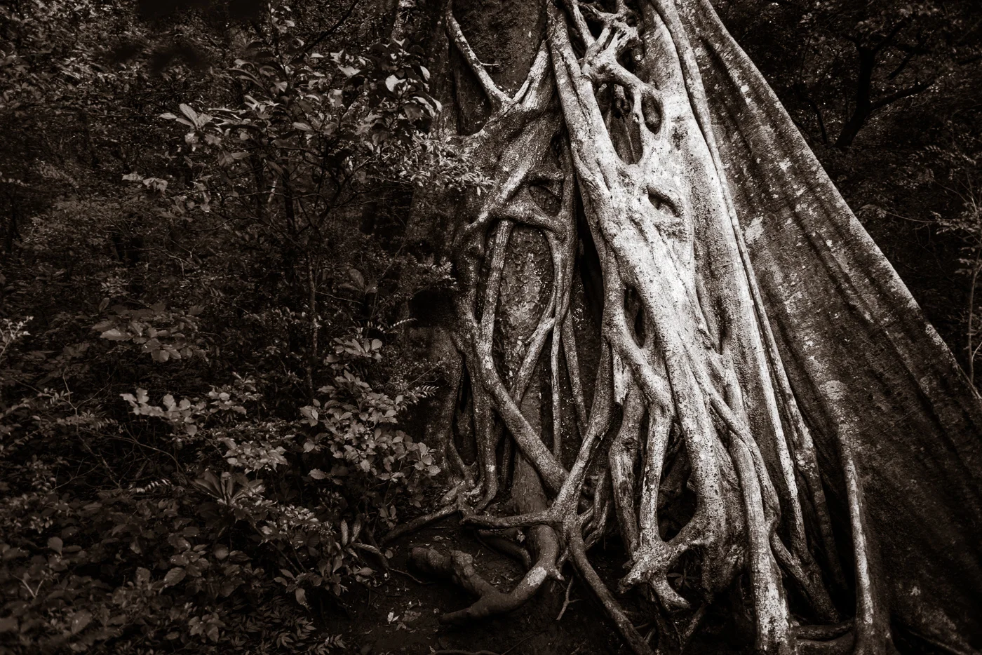 20130902CostaRica-193.jpg