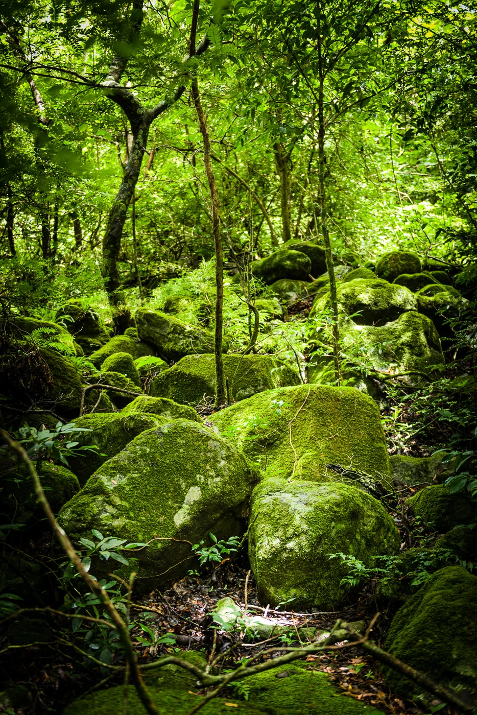 20130902CostaRica-222.jpg