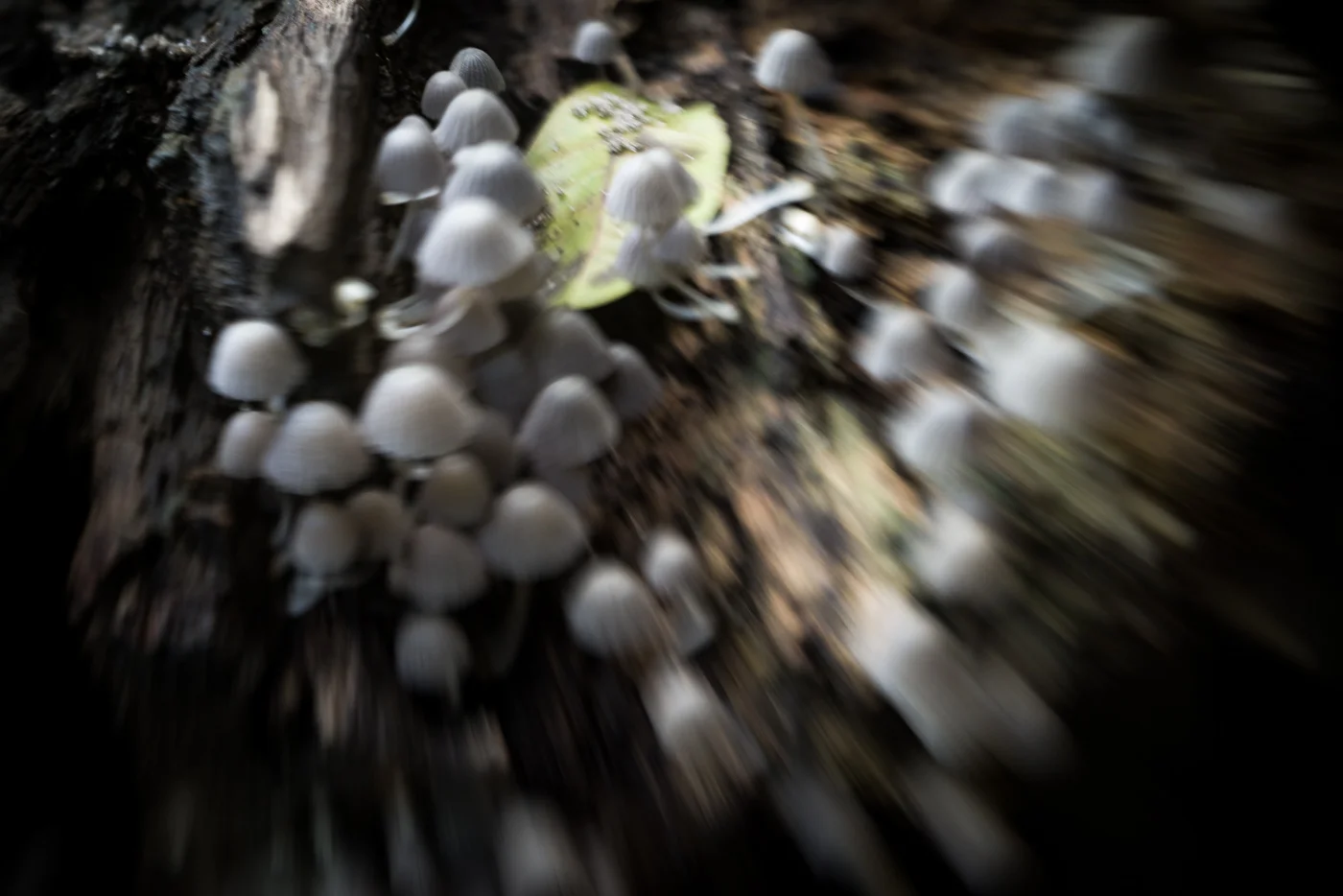 20130902CostaRica-396.jpg