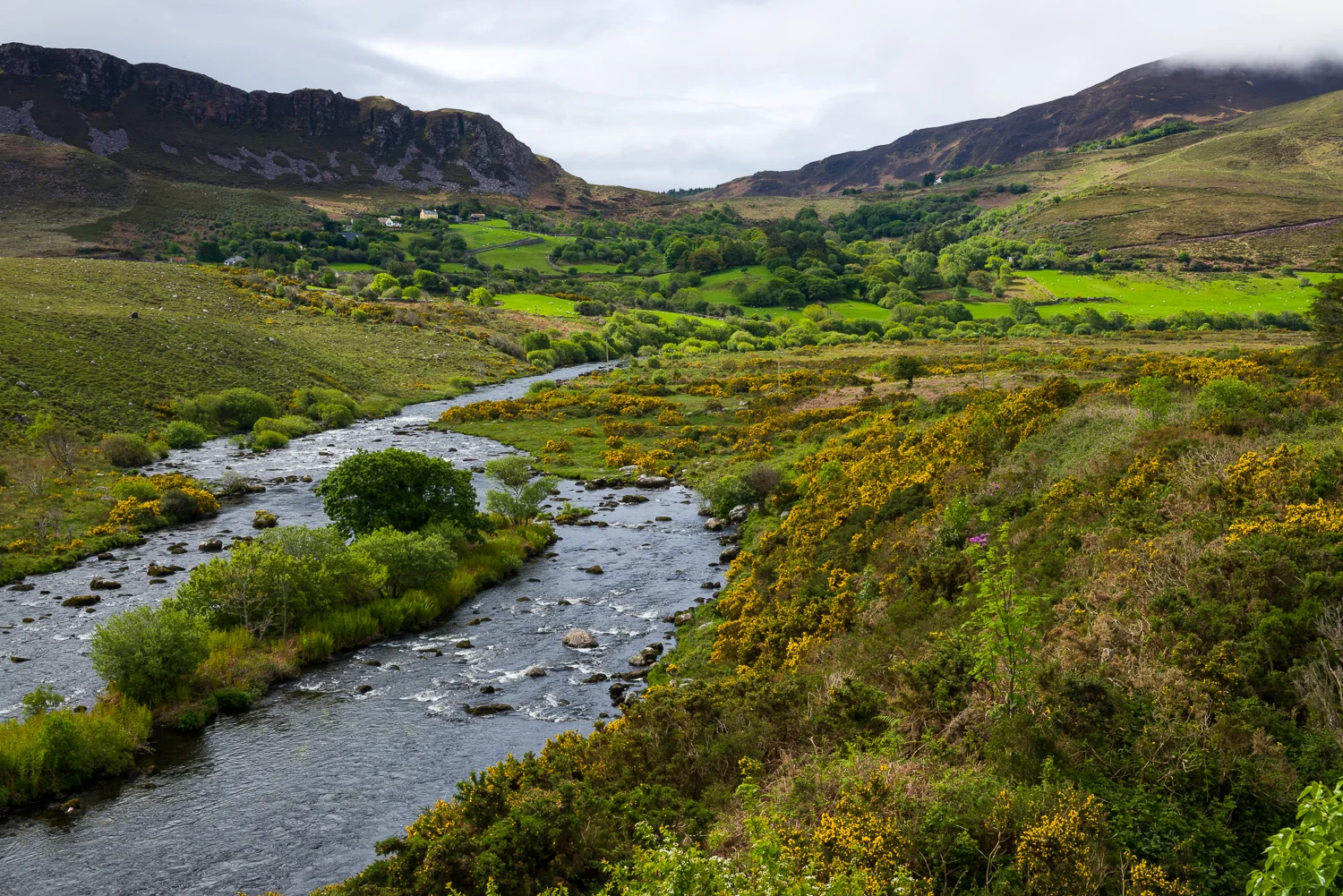 20150516Ireland-1052.jpg