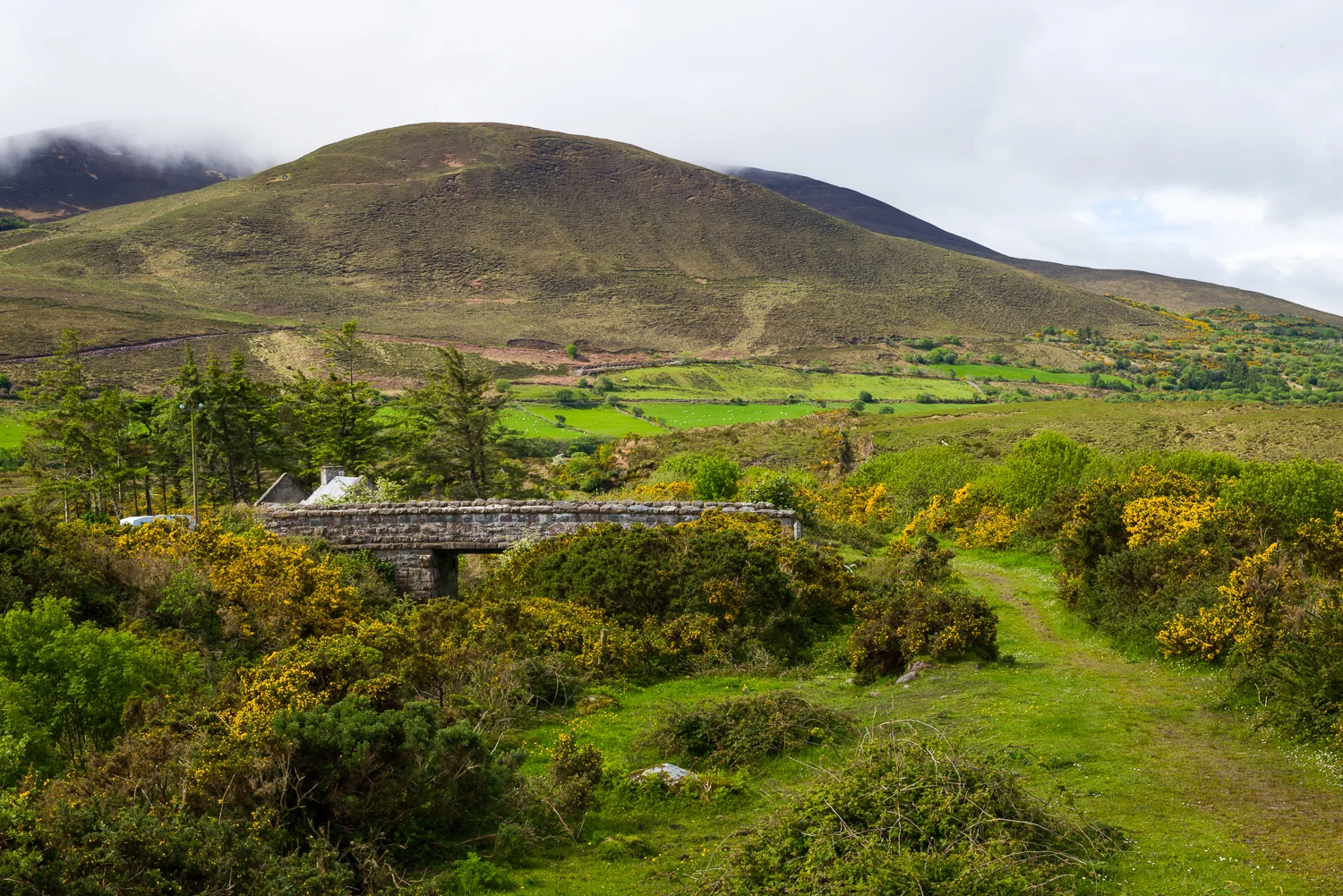 20150516Ireland-1060.jpg
