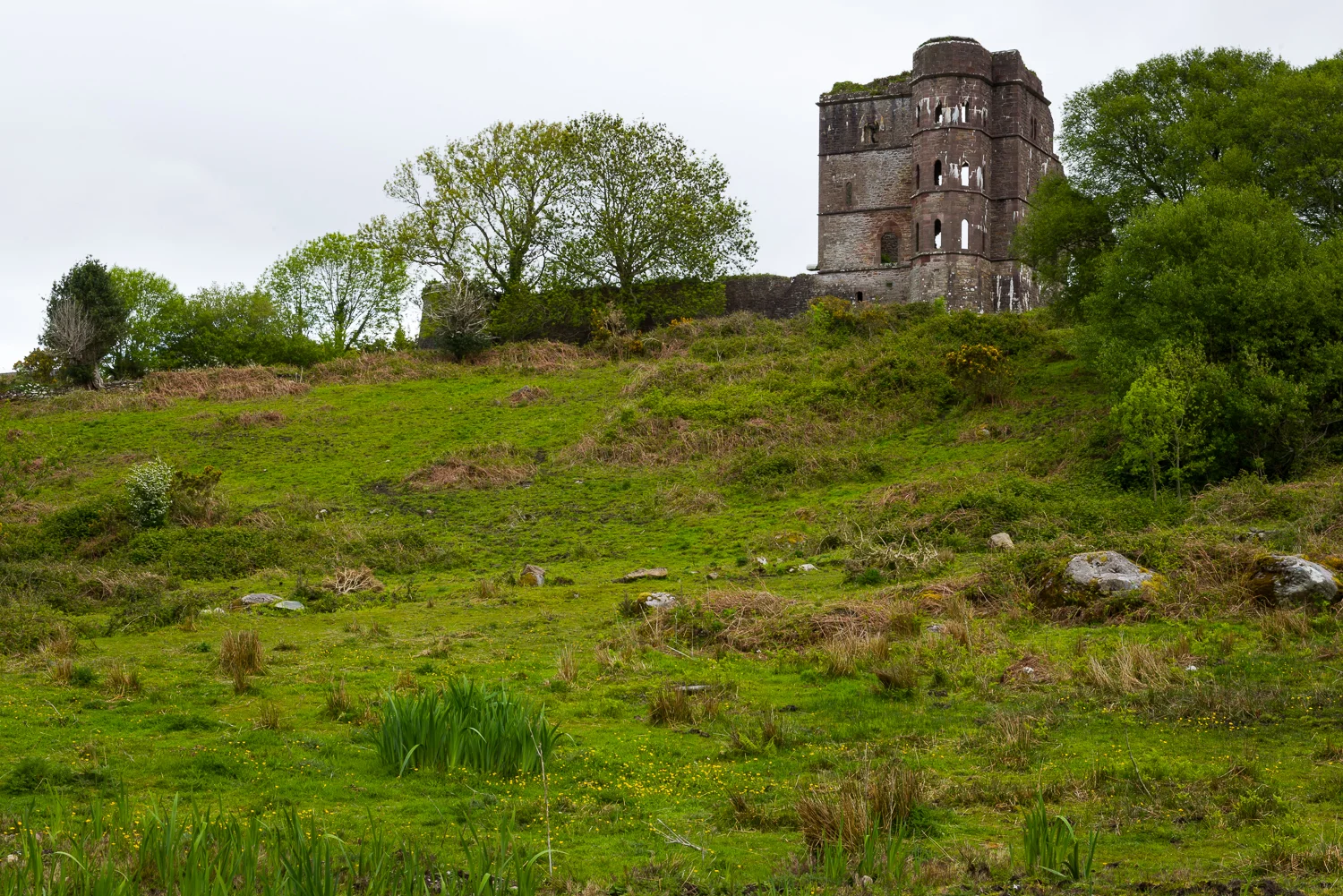 20150516Ireland-1068.jpg