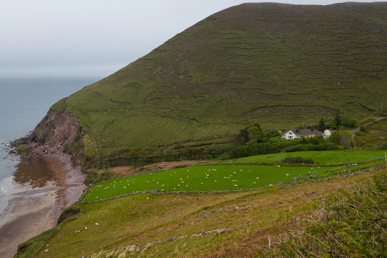 20150516Ireland-1094.jpg