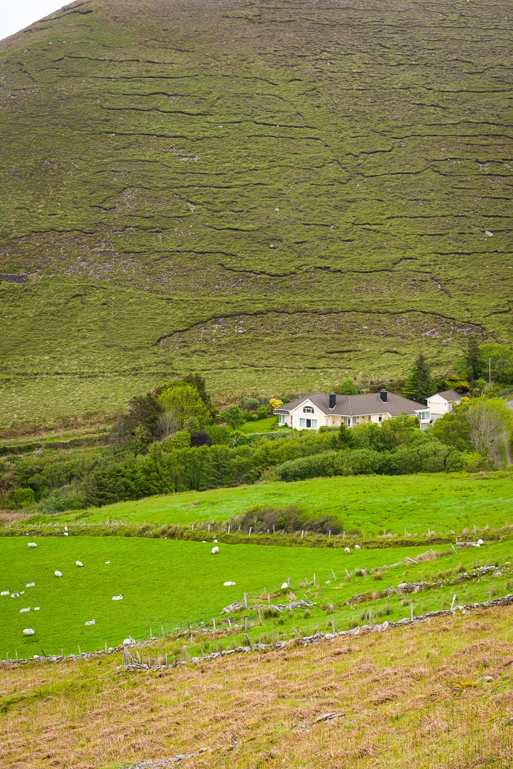 20150516Ireland-1097.jpg