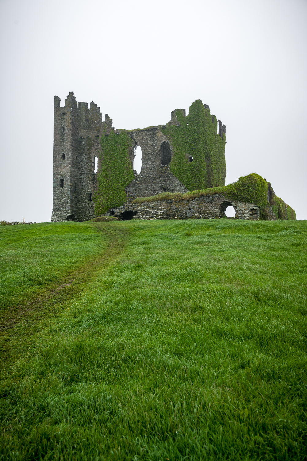 20150516Ireland-1121.jpg