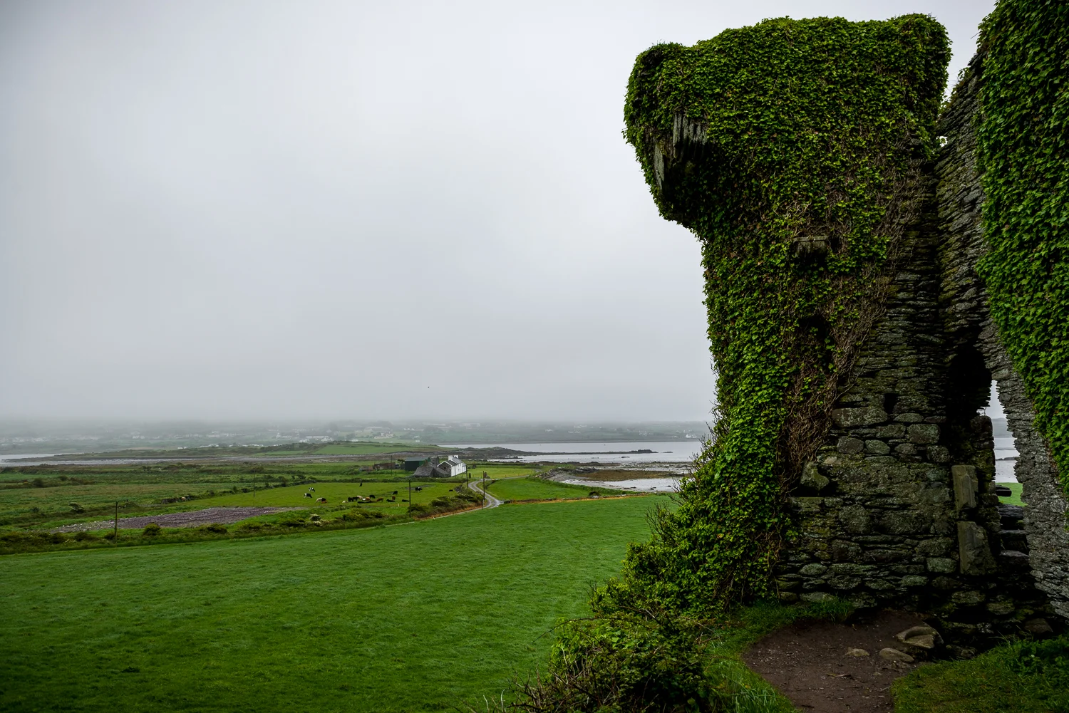 20150516Ireland-1174.jpg