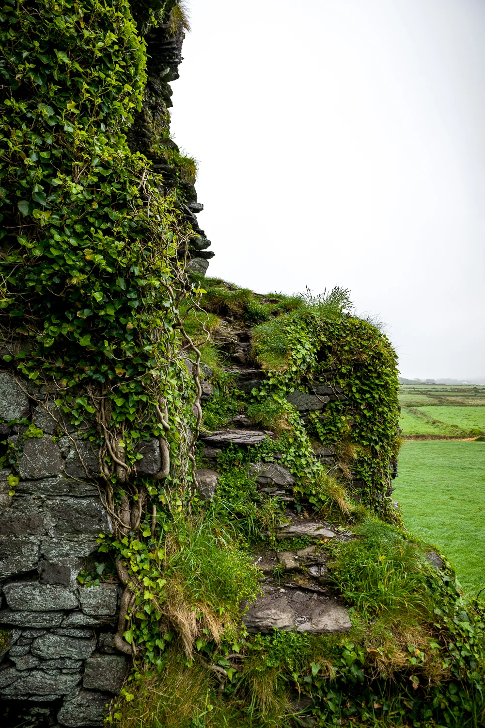 20150516Ireland-1175.jpg