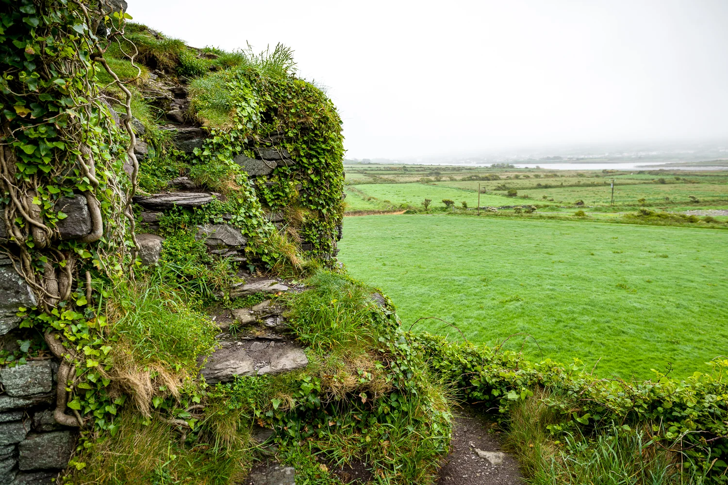 20150516Ireland-1176.jpg