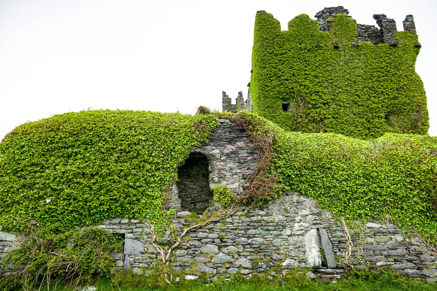 20150516Ireland-1182.jpg