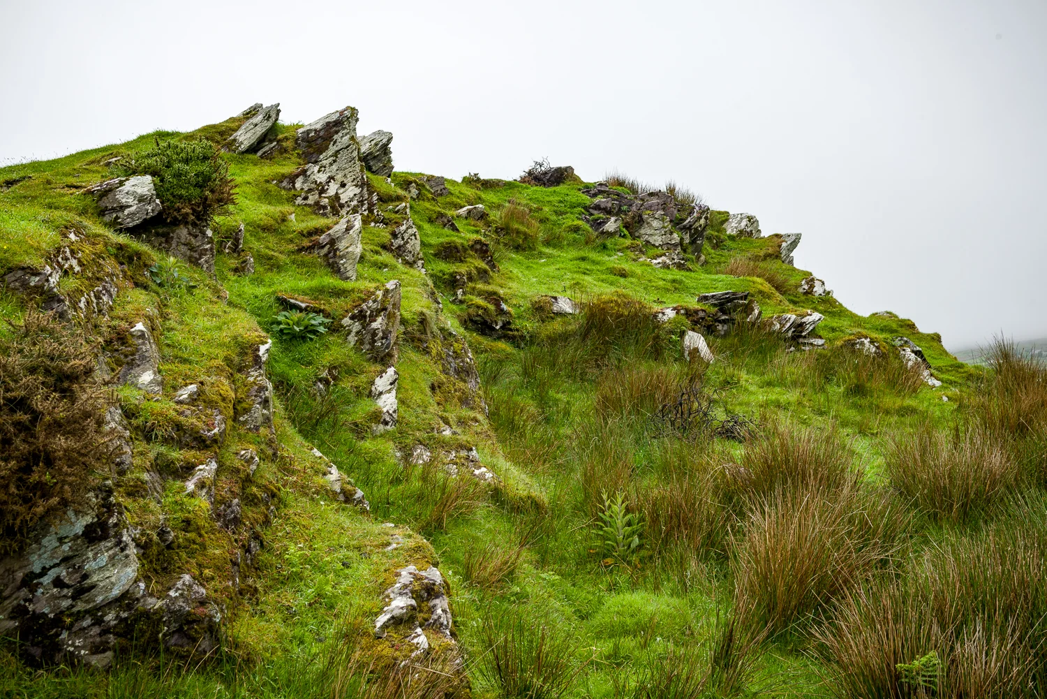 20150516Ireland-1193.jpg