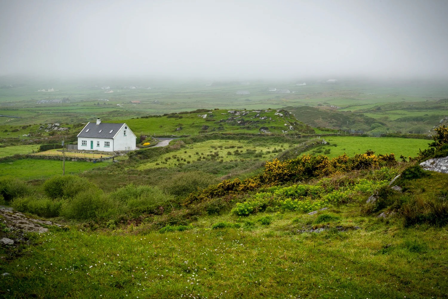 20150516Ireland-1205.jpg