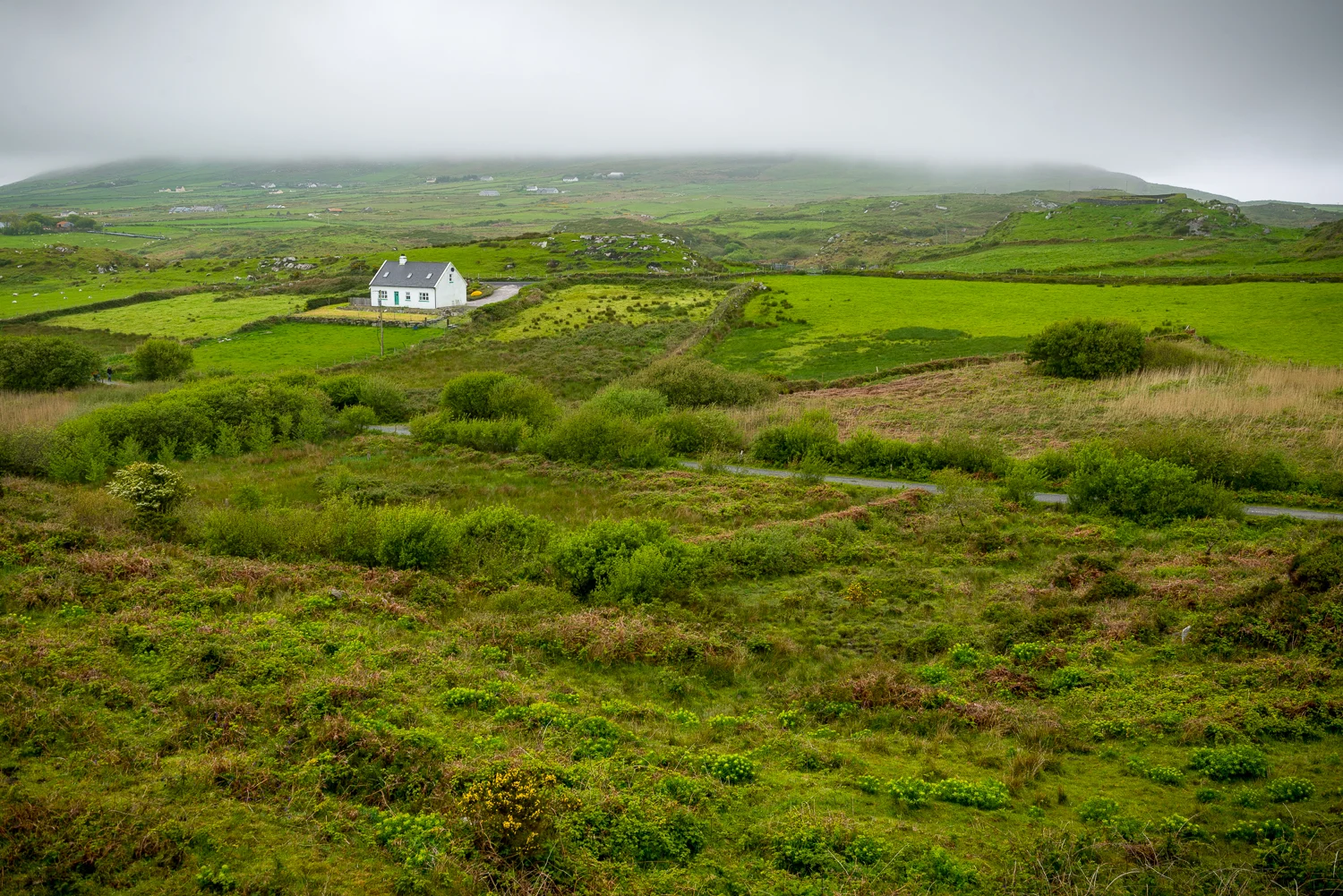 20150516Ireland-1216.jpg