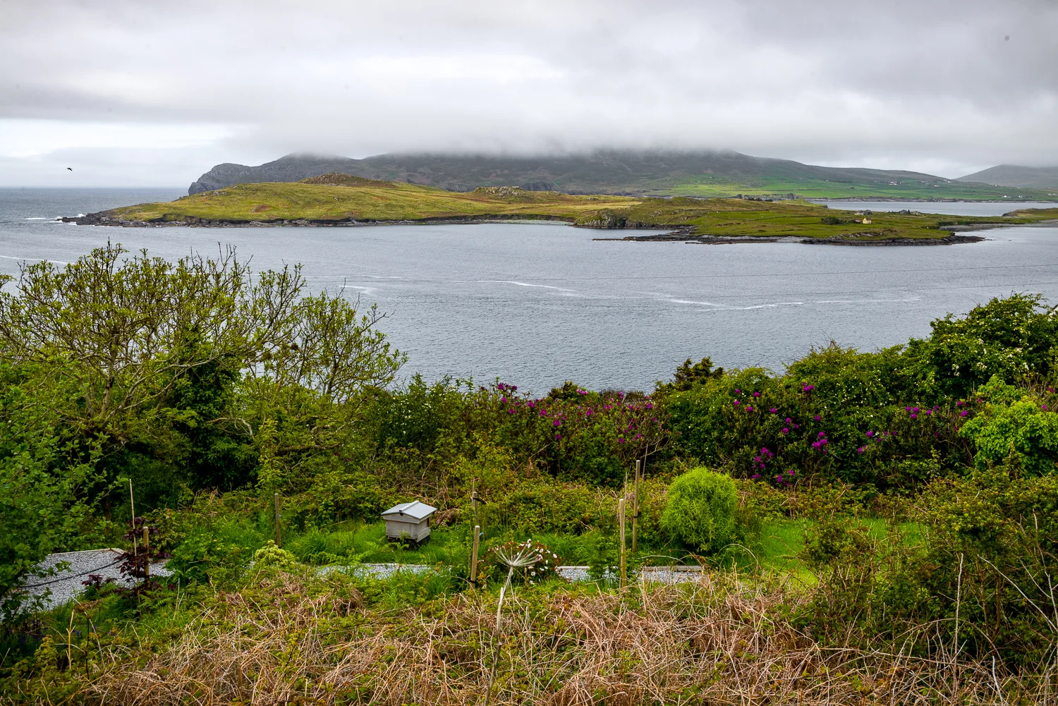 20150516Ireland-1276.jpg