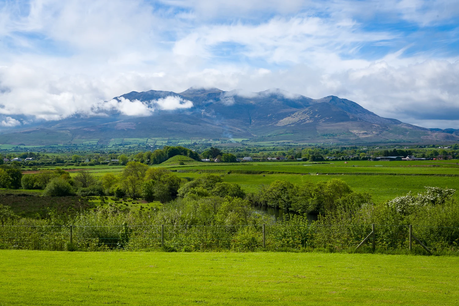 20150516Ireland-1412-2.jpg