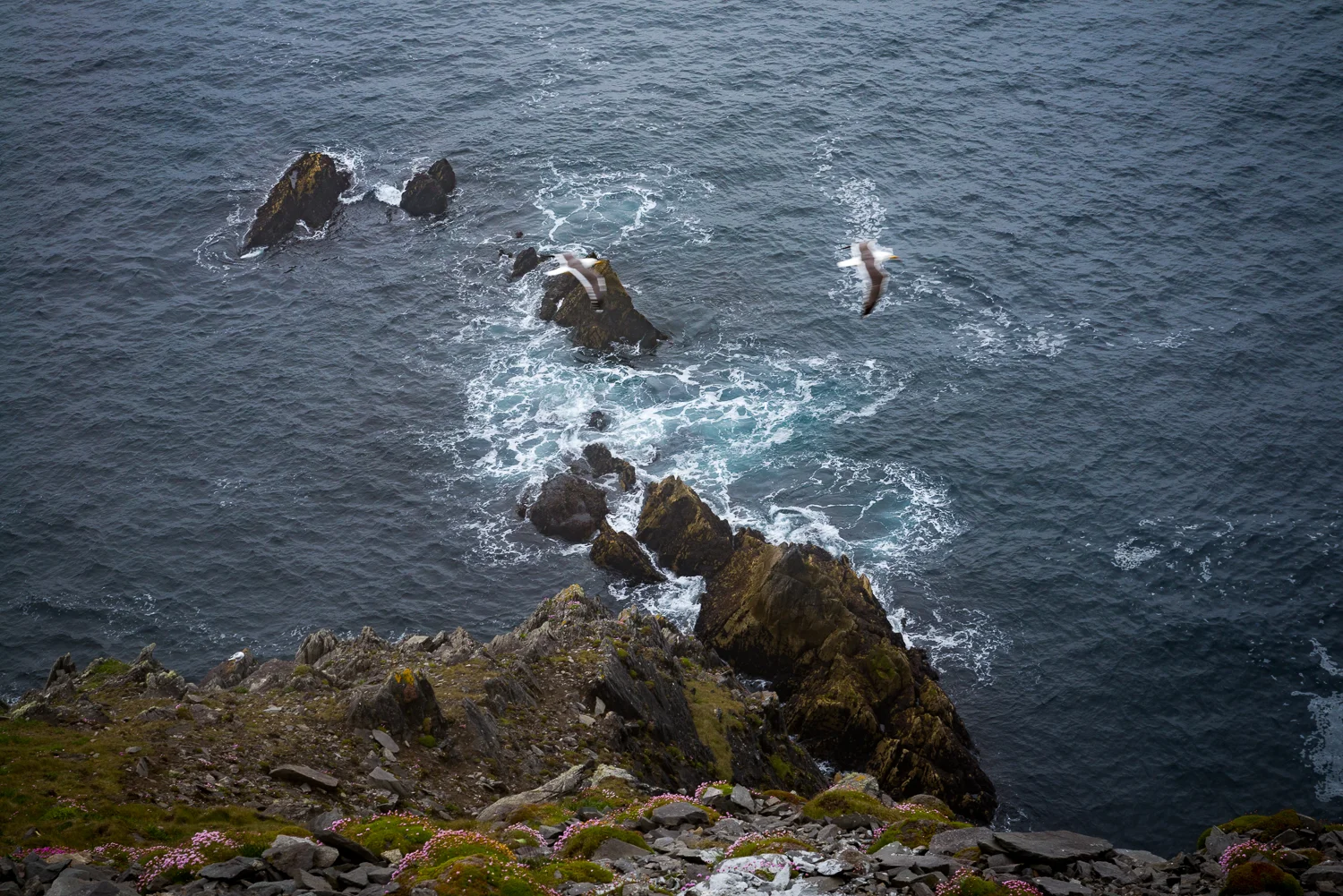 20150516Ireland-1460.jpg