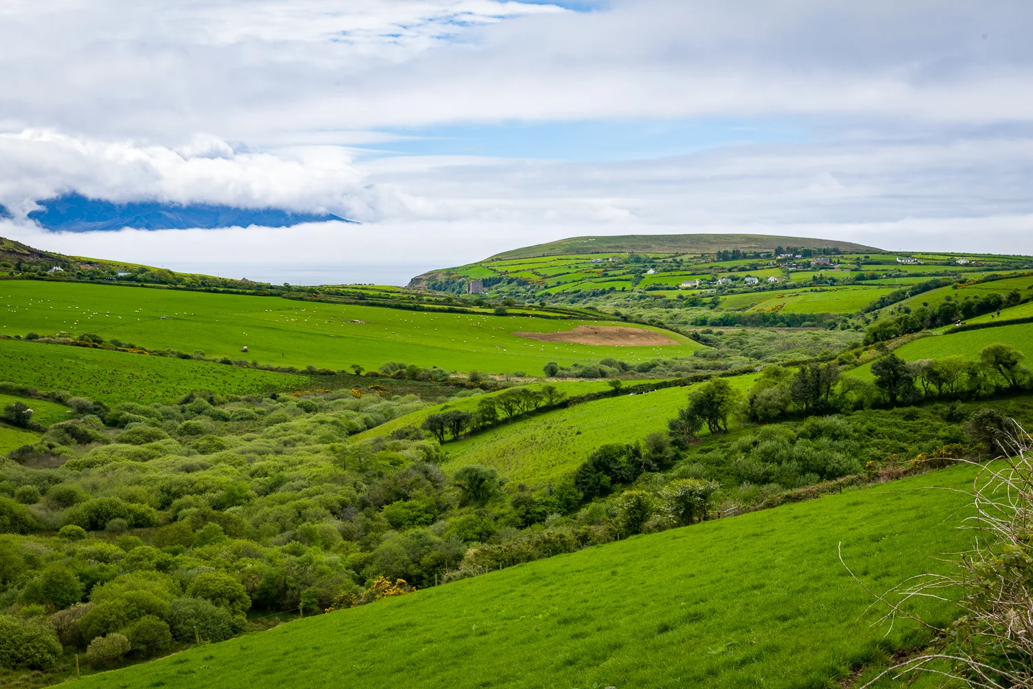 20150516Ireland-1475.jpg
